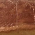 ろあんくん's cooksnap of when they made 簡単！しっとりふわふわスポンジケーキ.