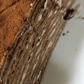 サカサ嫁's cooksnap of when they made チョコミルクレープ♥バレンタインチョコ♥.