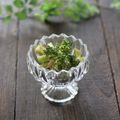 まろんかふぇ's cooksnap of when they made 【楽めし】ブロッコリーだけ絶品サラダ.