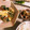 mack♪♪♪'s cooksnap of when they made 小松菜のたまご炒め.