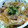 プルンバゴ's cooksnap of when they made 10分 お麩の卵とじ.