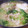 ﾋﾟﾛﾐ♡'s cooksnap of when they made ｍ簡単！半熟卵とレタスの塩ラーメン.
