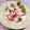 クックHG9V8Y☆'s cooksnap of when they made ちくわシソチーズ.