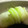 みきんどる's cooksnap of when they made おでん種に！白菜ソーセージ巻き.