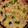 クックMRC59P☆'s cooksnap of when they made 母のちらし寿司.