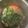 いっぺい99's cooksnap of when they made 隠し味あり♡美味しいレタス豚汁！.