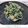 ちょこ☆ちょこ's cooksnap of when they made ほうれん草とかつおぶしの白あえ.