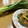 岩手のまま's cooksnap of when they made 九条ネギのぬた.