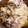 クックCI0TE7☆'s cooksnap of when they made 簡単✨すき家風？吉野家風？豚丼✨.