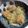 こめっこ♡'s cooksnap of when they made 鶏のとろみおろし煮♬.