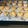 クックF5TIWJ☆'s cooksnap of when they made 犬用 にんじんクッキー.