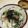 papikun's cooksnap of when they made しらす丼.