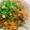 柴犬のお顔☆'s cooksnap of when they made 豆腐とひじきと長ネギのつくねバーグ♡.