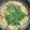 猫のミイヤ's cooksnap of when they made かんたん餃子鍋.