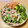 さすらい's cooksnap of when they made レタスとハムのマヨポン和え.