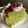がんばれままちゃん's cooksnap of when they made 覚え書き　プレーンシフォン.