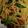 クック03Y5W8☆'s cooksnap of when they made チンゲン菜とベーコンの★和風パスタ★.