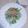 ほか弁ママ's cooksnap of when they made 水菜と大根の和風マヨサラダ♪.