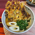 有喜穂's cooksnap of when they made 冷めてもサクサク☆野菜のかき揚げ.