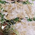 あっい's cooksnap of when they made 豚肉と水菜のレンジ蒸し*.