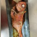 poh12's cooksnap of when they made 金目鯛の煮付け.