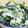 ゆけり３兄弟's cooksnap of when they made ワカメが旬♪えのきとワカメの炒めもの.