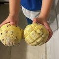 まいママ＊'s cooksnap of when they made チョコチップメロンパン（ＨＢ使用）.