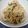 のこふく's cooksnap of when they made ご飯に合う！豚肉のシソ味噌焼き☆.