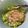 みくりちゃん324's cooksnap of when they made アボガドとクリチの麺つゆ和え.