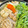 azbjbn's cooksnap of when they made 簡単！あっさり塩鍋.