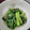 クック24V8BR☆'s cooksnap of when they made ぱぱっと!韮のおひたし.