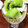 クックM96XDX☆'s cooksnap of when they made キウイとヨーグルトをメープルシロップで❕.