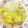 さおりらっくま's cooksnap of when they made 具材は白菜だけ！優しい白菜スープ.
