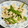 ☆KEI☆'s cooksnap of when they made 簡単！ピーマンとささ身のモリモリ和え♪.