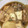 コバミツ's cooksnap of when they made サバ缶と大根の煮物.