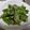 fu♪♪'s cooksnap of when they made スナップエンドウのゴマ和え.