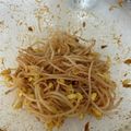エイビーズ's cooksnap of when they made 大豆もやしのピリ辛ナムル【作り置き】.