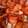 imuzio's cooksnap of when they made 簡単おいしい♪鶏の唐揚げ.