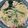 クックありえり's cooksnap of when they made スモークサーモンと法蓮草のクリームパスタ.