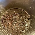 ブランディ's cooksnap of when they made 黒豆の水煮（圧力鍋）.