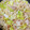 さって's cooksnap of when they made 豚バラ白菜とえのきのうま煮.
