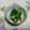 レオミウ's cooksnap of when they made ポリ袋で簡単、きゅうり浅漬け旨漬け！.