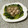 yesmama's cooksnap of when they made 青梗菜と肉団子の中華風♪.
