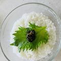 恐竜の羽's cooksnap of when they made ごはんのお供☆大葉みそ！大量消費＊常備.