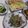 きらり流れ星's cooksnap of when they made サックサクでめちゃウマ！！野菜の天ぷら.