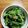 青森在住's cooksnap of when they made ほうれん草の胡麻和え.