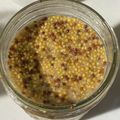 ★あやたん★'s cooksnap of when they made 手作り粒マスタード.