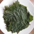 よっちゃん母's cooksnap of when they made おにぎりの友♪しその塩づけ.