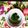 クックMRC59P☆'s cooksnap of when they made 菜花のからしあえ.