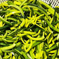 mother☆'s cooksnap of when they made ポロネギの下処理、保存.